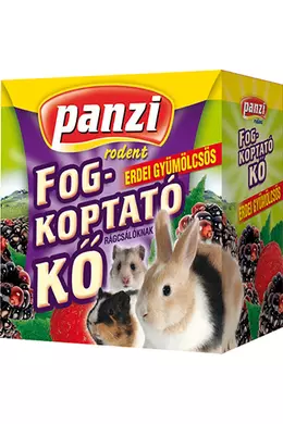 Panzi Fogkoptató Erdei Gyümölcsös 55g