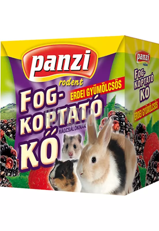 Panzi Fogkoptató Erdei Gyümölcsös 55g